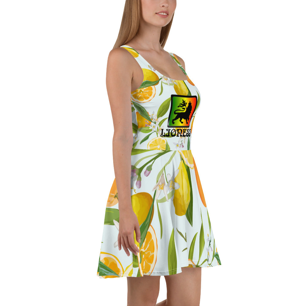 AJAK Print Skater Dress