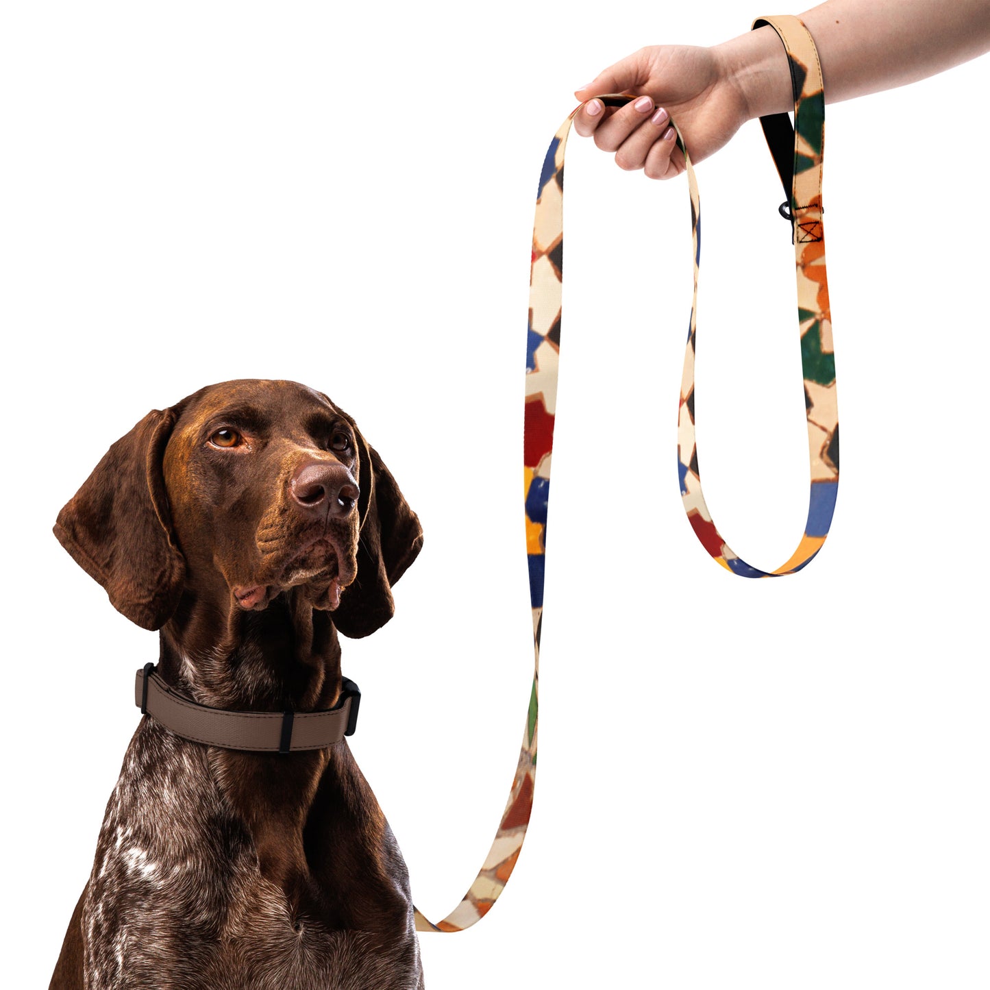 AJAK Exclusive Pet leash