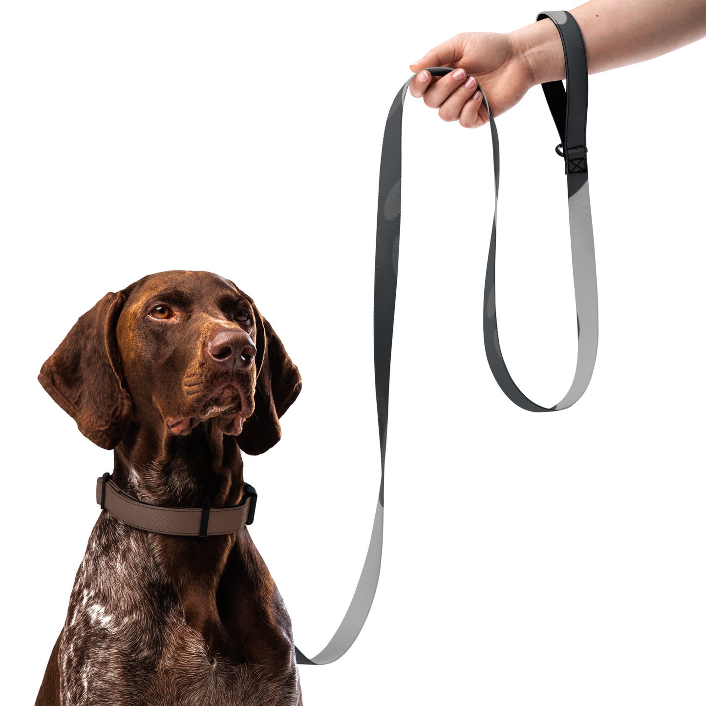 AJAK Exclusive Pet leash